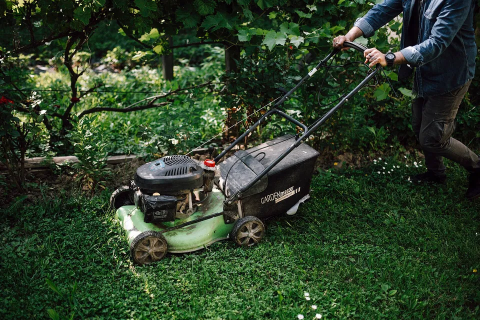 Person mowing the lawn in a vibrant garden on a sunny day